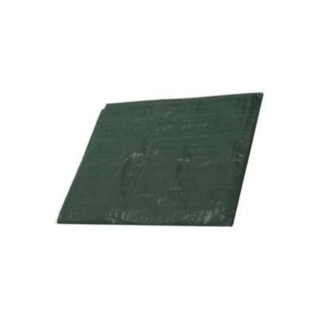 HARPSTER OF PHILIPSBURG Medium Duty Tarp, Forest Green, High-Density Polyethylene G10x20